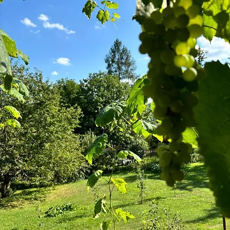 Vendy Διαμέρισμα Κάρλοβι Βάρι